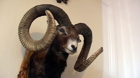 Tisíc let české myslivosti - 24. června 2011