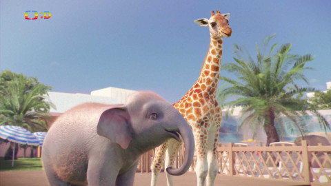 Sportující zvířata - Sportující zvířata IV.