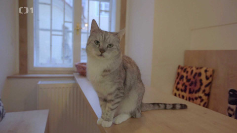 Máme rádi zvířata - 2. prosince 2024