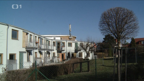 Černé ovce - 19. května 2021