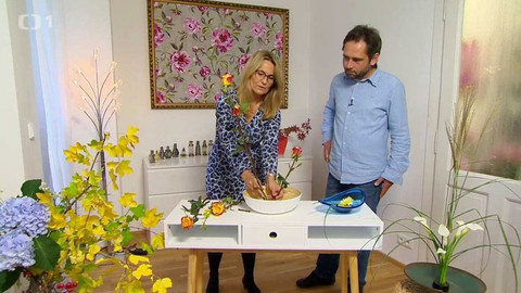 Polopatě - 29. října 2017