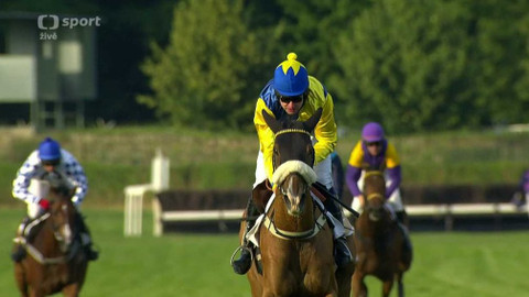 Dostihy - Pardubické rovinové dostihy