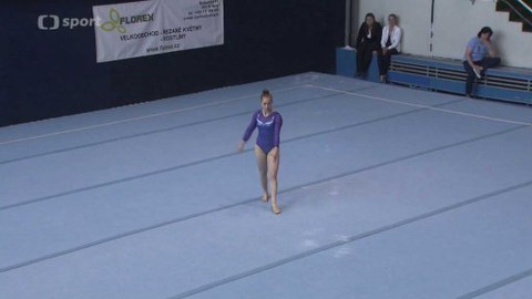Gymnastika - M ČR ve sportovní gymnastice 2015 Brno