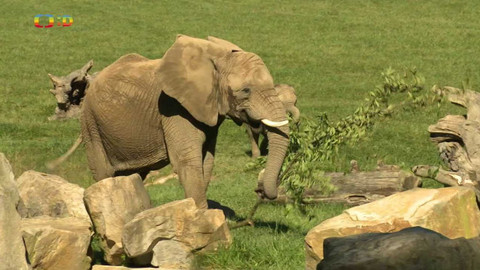 Zprávičky - 26. září 2023