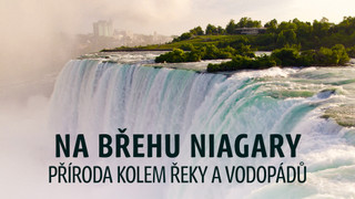 Na břehu Niagary - příroda kolem řeky a vodopádů