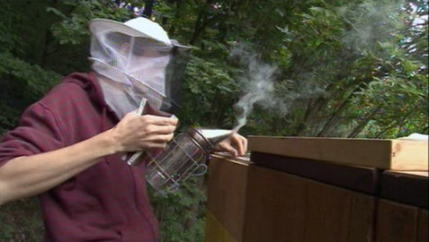 Náš venkov - Jedem s medem