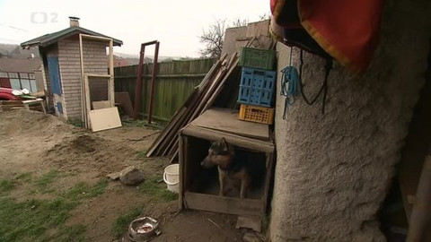 Ochránce - 8. září 2013