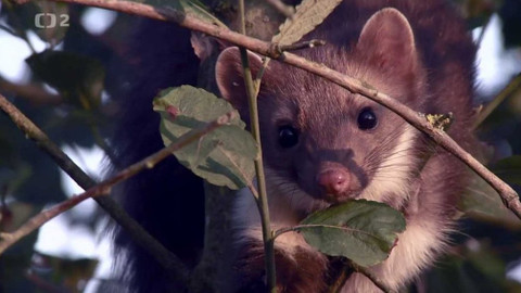 Novinky z přírody - Epizoda 40/53