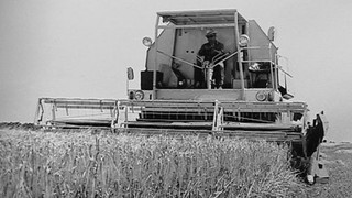 Zašlapané projekty