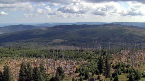 Nedej se! - Šance pro Šumavu