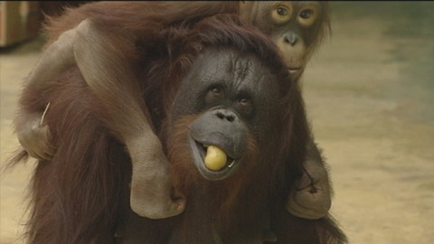 Chcete mě? - 10. listopadu 2019