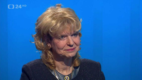 Interview ČT24 - 8. února 2024