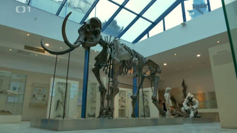 Toulavá kamera - 26. února 2017