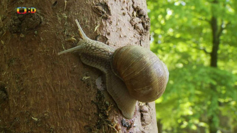 Terčin zvířecí svět - 14. dubna 2023