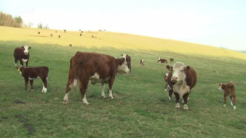 Folklorika - Šumavští statkáři