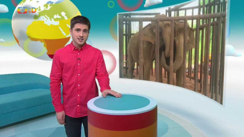 Zprávičky - 23. října 2016