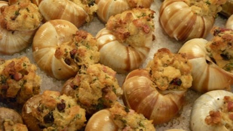 Kuchařská pohotovost - ... a šneka sníš?