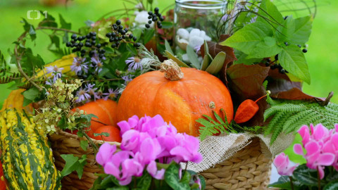 Polopatě - 9. listopadu