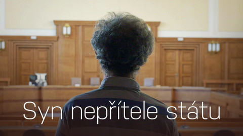 Syn nepřítele státu