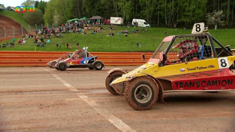 Lvíčata - 4. června 2016