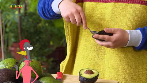 Draci v hrnci - Avokádo snězte sami, nikdy nesmí do psí tlamy!