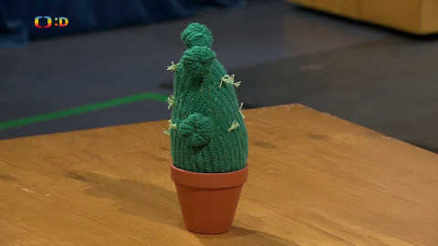 Šikulové - Velká výzva - 8. ledna