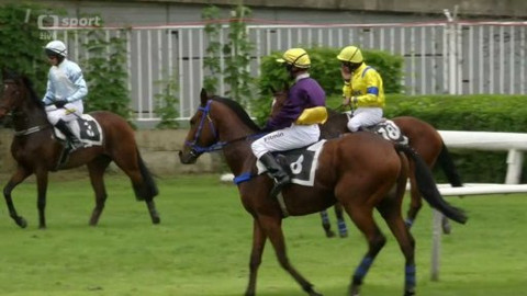 Jezdectví - I. kvalifikace na 125. Velkou pardubickou s Českou pojišťovnou