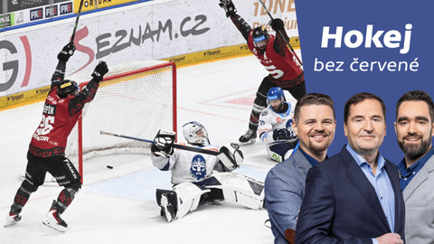 Hokej bez červené - Co chybělo parahokejistům k bronzu a co ukázalo předkolo play-off?