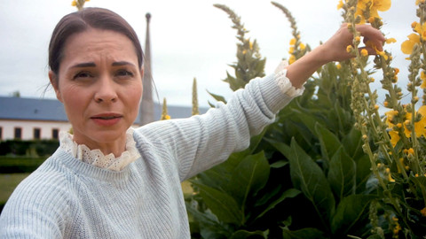 Herbář - 21. listopadu 2021