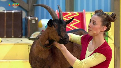 Hýbánky - Vysoký jalovec