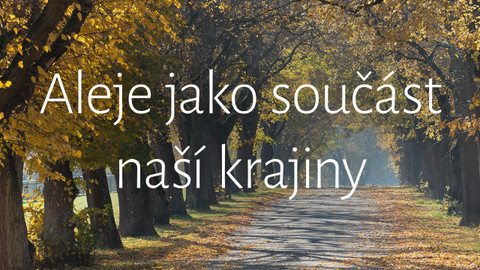 Aleje jako součást naší krajiny