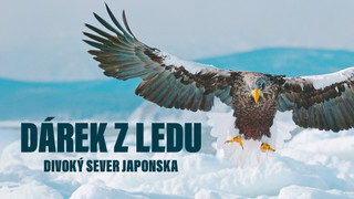 Dárek z ledu: Divoký sever Japonska