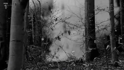 Přísně tajné vraždy - Léčka