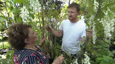 Hobby naší doby - 16. června 2018