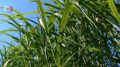 Zahrada je hra - 16. října 2008