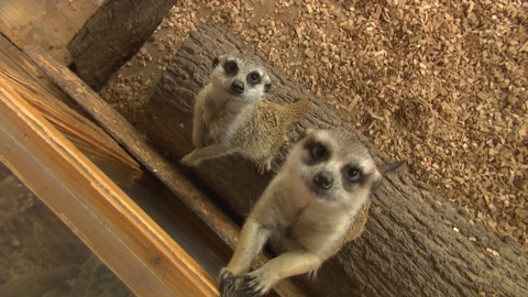 Chcete mě? - 11. října 2020