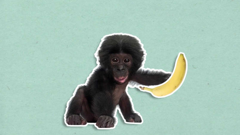 To je něco! - Proč jsou banány zahnuté?