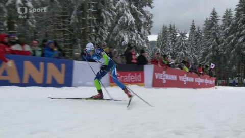 Světový pohár v biatlonu - Německo