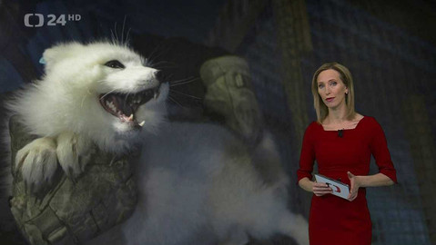 Horizont ČT24 - 29. února 2024