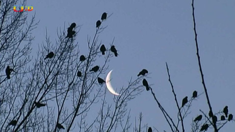 Terčin zvířecí svět - 15. září 2023