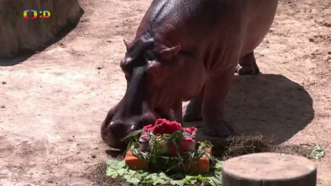 Zprávičky - 6. března 2022