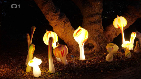 Toulavá kamera - 29. prosince 2024