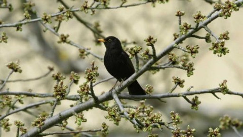 Planeta Praha: co ve filmu nebylo - 1/5 Pražská hnízda