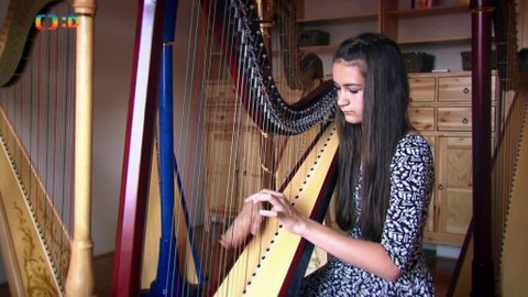 Filharmonici na ulici - Harfa