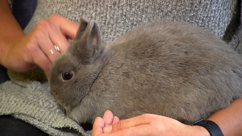 Chcete mě? - 15. listopadu 2020