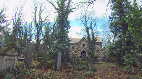 Z metropole - 13. ledna 2018