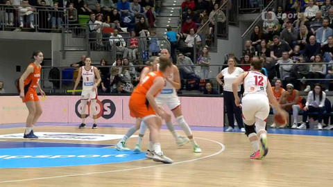 Basketbal - Česko - Nizozemsko