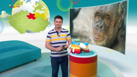 Zprávičky - 13. dubna 2021