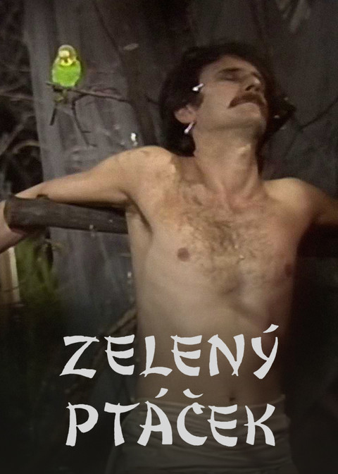 Zelený ptáček