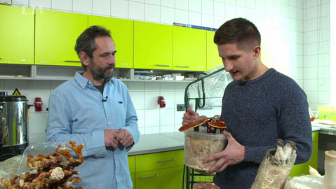 Polopatě - 25. února 2024